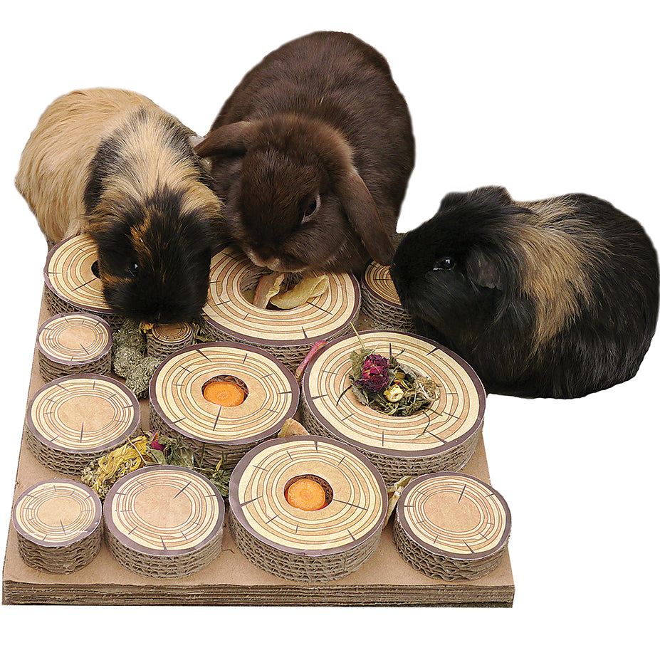 Rosewood Small Animal Activity Toys Maze-A-Log Treat Challenge
