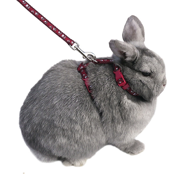 Rosewood Small Animal Paw Print Harness and Lead Set 02