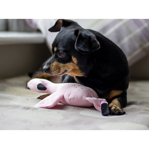 Rosewood Dog Toys ECO Friendly Flamingo 08
