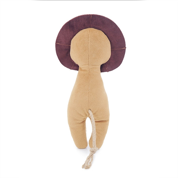 Rosewood Dog Toys ECO Friendly Lion 03