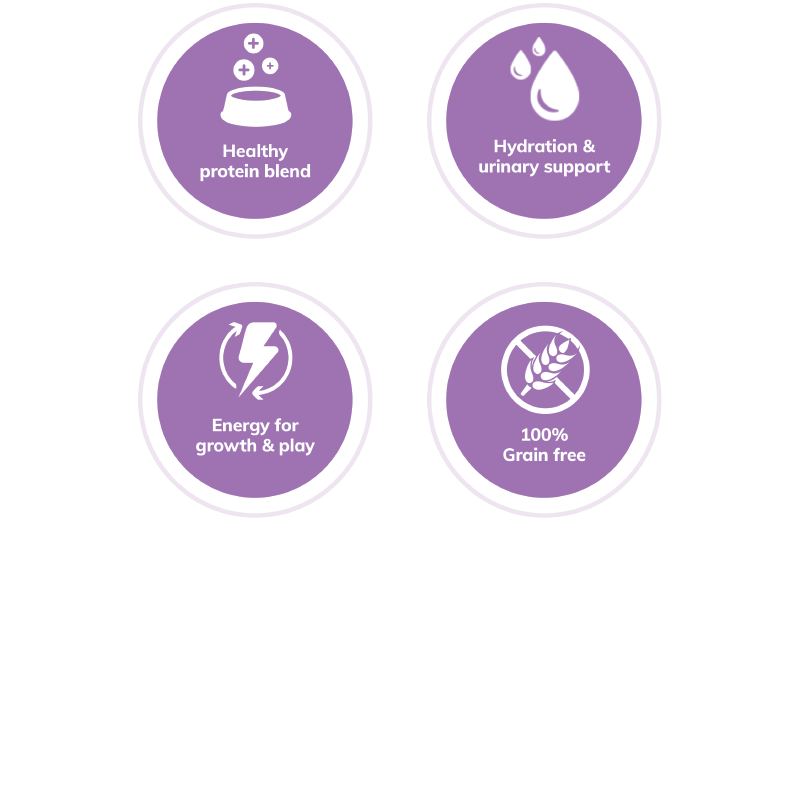 Wellness Core Wet Cat Food Signature Selects Kitten Boneless Chicken & Turkey