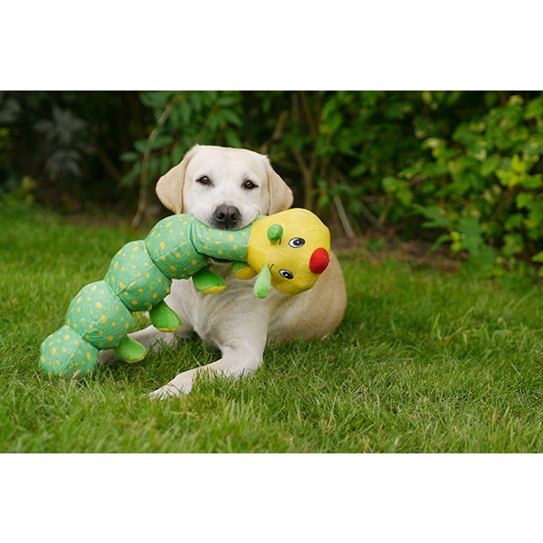 Rosewood Dog Toys Colin Caterpillar 05