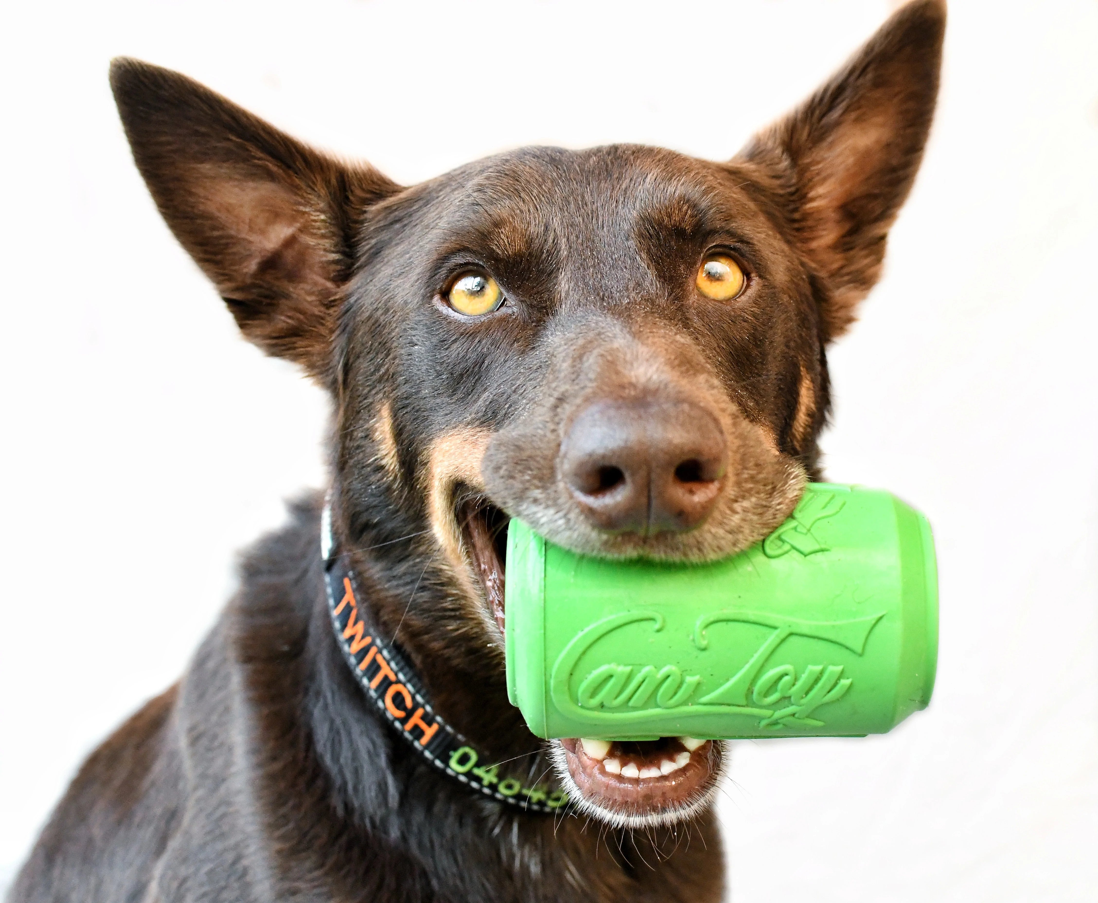 SodaPup Dog Chew Toys Can Toy