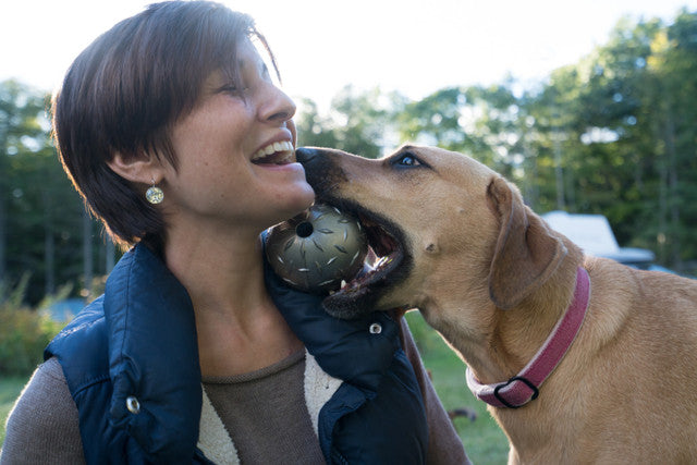 Planet Dog Orbee-Tuff Diamond Plate Ball Treat-Dispensing Dog Toy