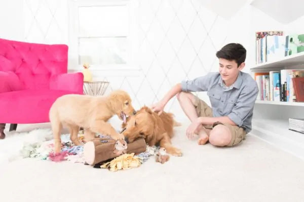 Zippy Paws Dog Toys Plush Burrow - Log with 3 Chipmunks 04