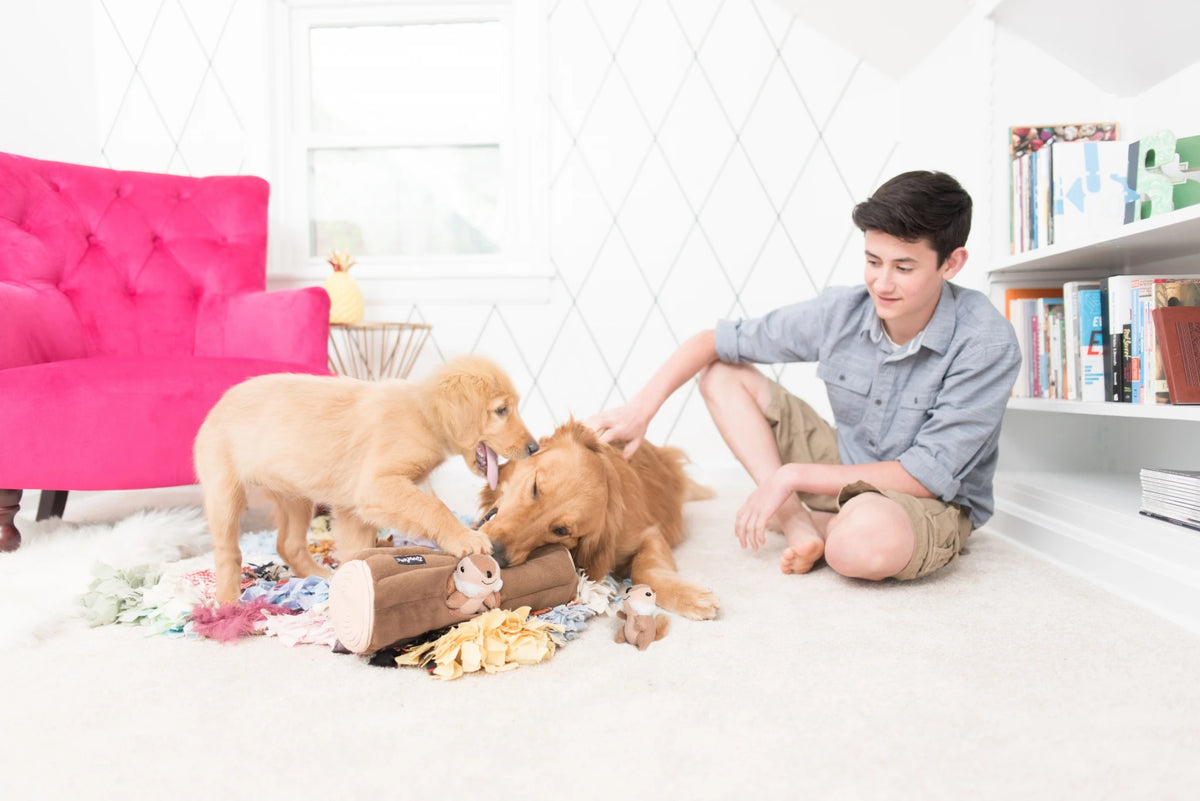 Person on a living room floor with two golden retrievers and Zippy Paws plush dog toys