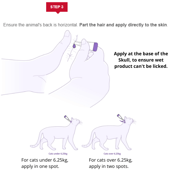 Bravecto Cat Spot On Blue 2.8-6.25kg 06