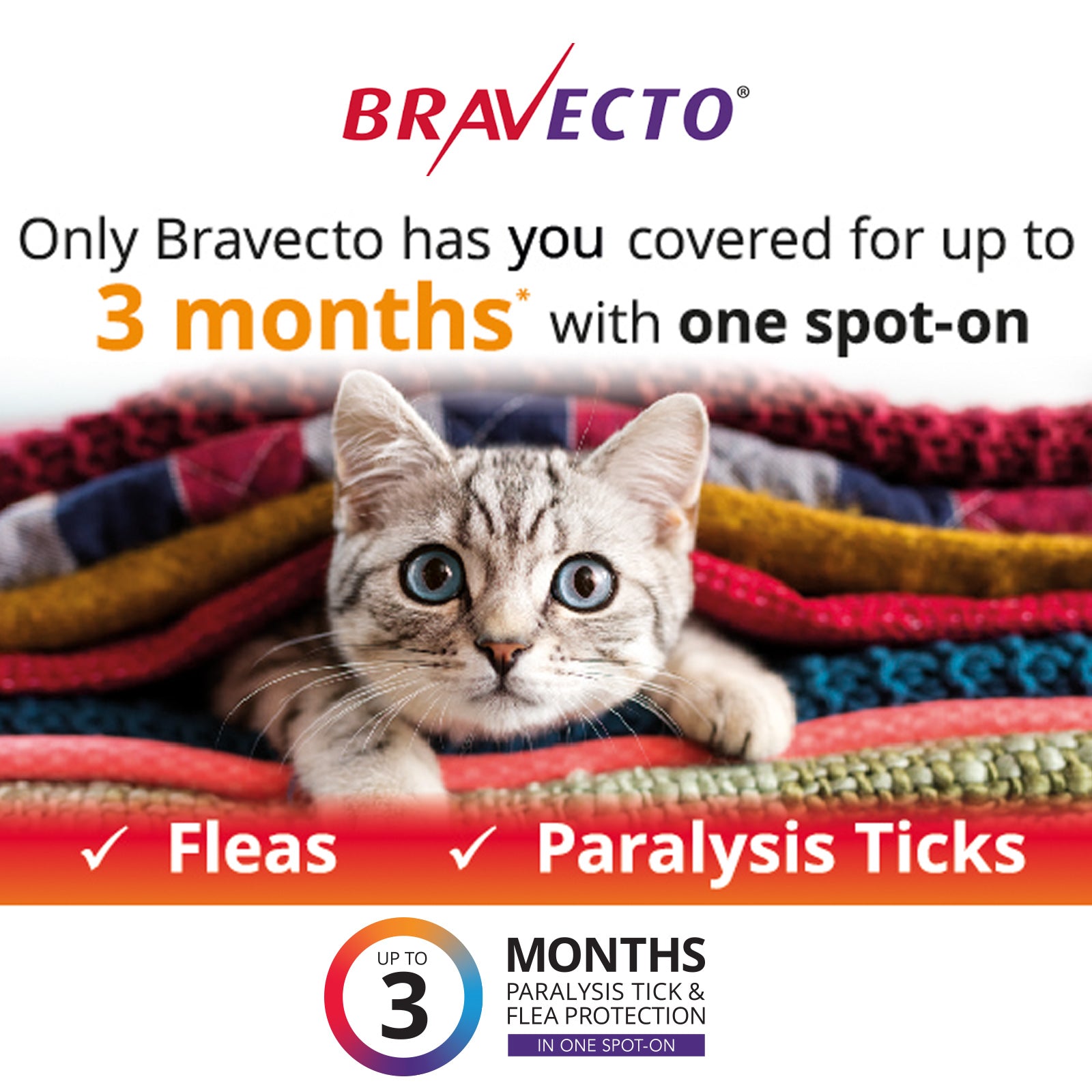Bravecto Cat Spot On Blue 2.8-6.25kg 03