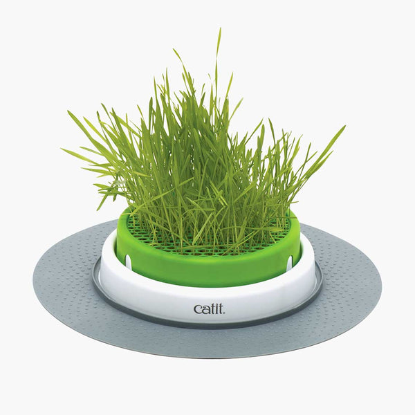 Catit Cat Toys Senses 2.0 Grass Planter & Refill Grass Planter