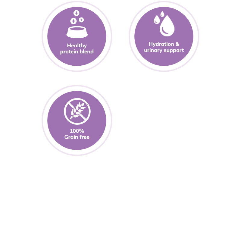 Wellness Core Wet Cat Food Tender Cuts With Chicken & Salmon In Savoury Gravy