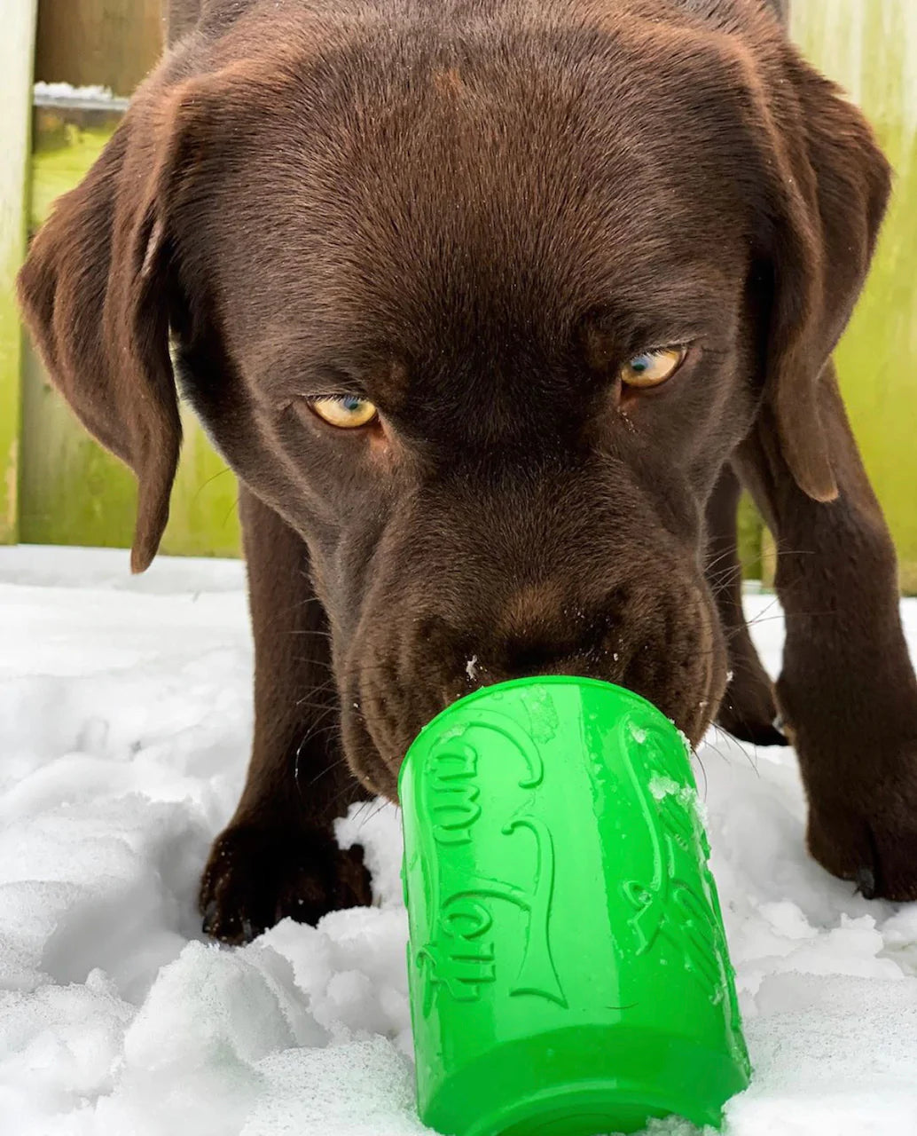 SodaPup Dog Chew Toys Can Toy