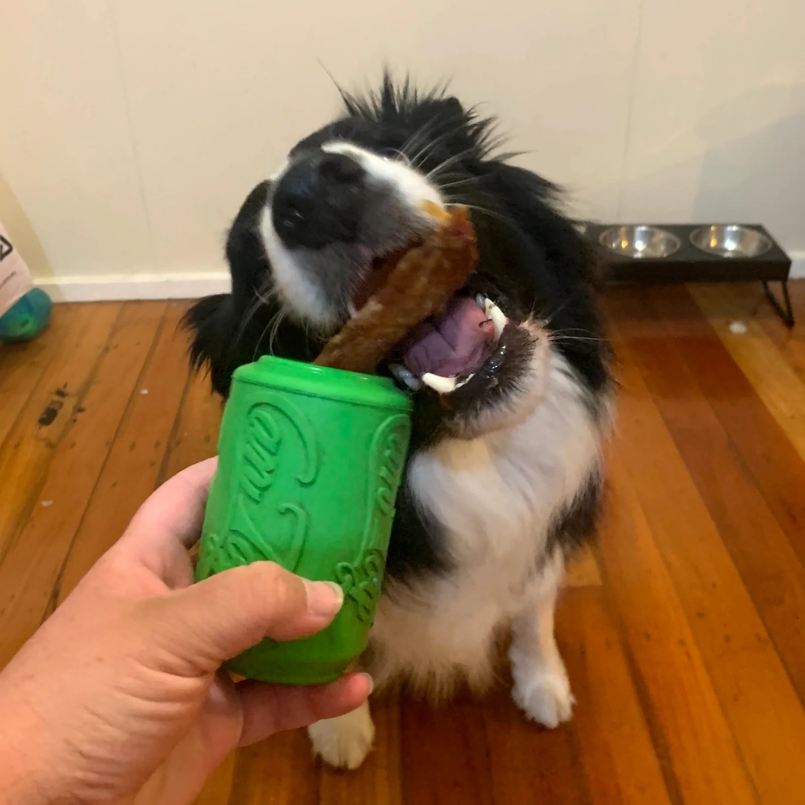 SodaPup Dog Chew Toys Can Toy