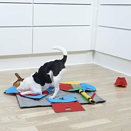 Buster Activity Snuffle Mat Replacement Task - Book 02