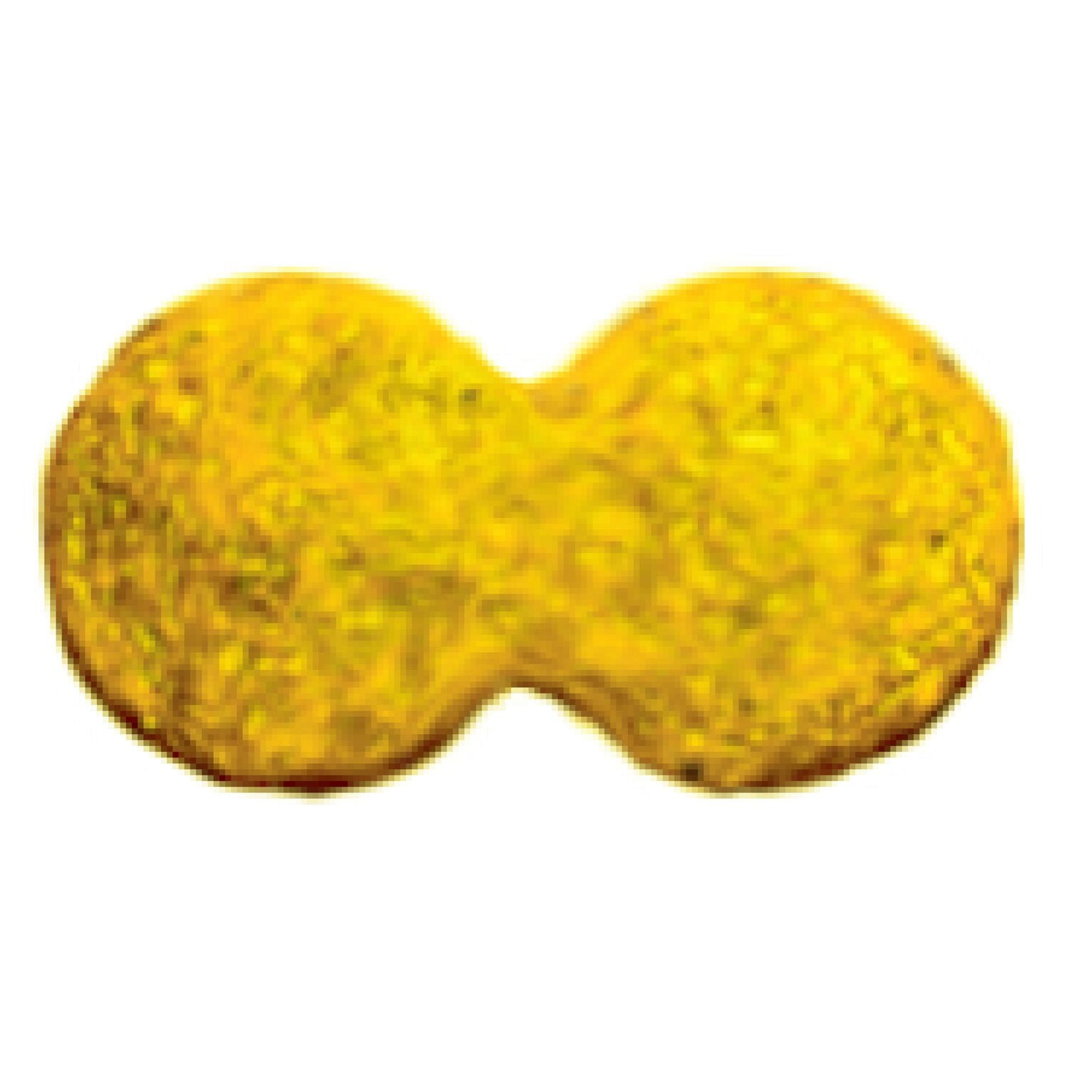 ADVANCE Healthy Weight Small Adult Dry Dog Food Chicken with Rice