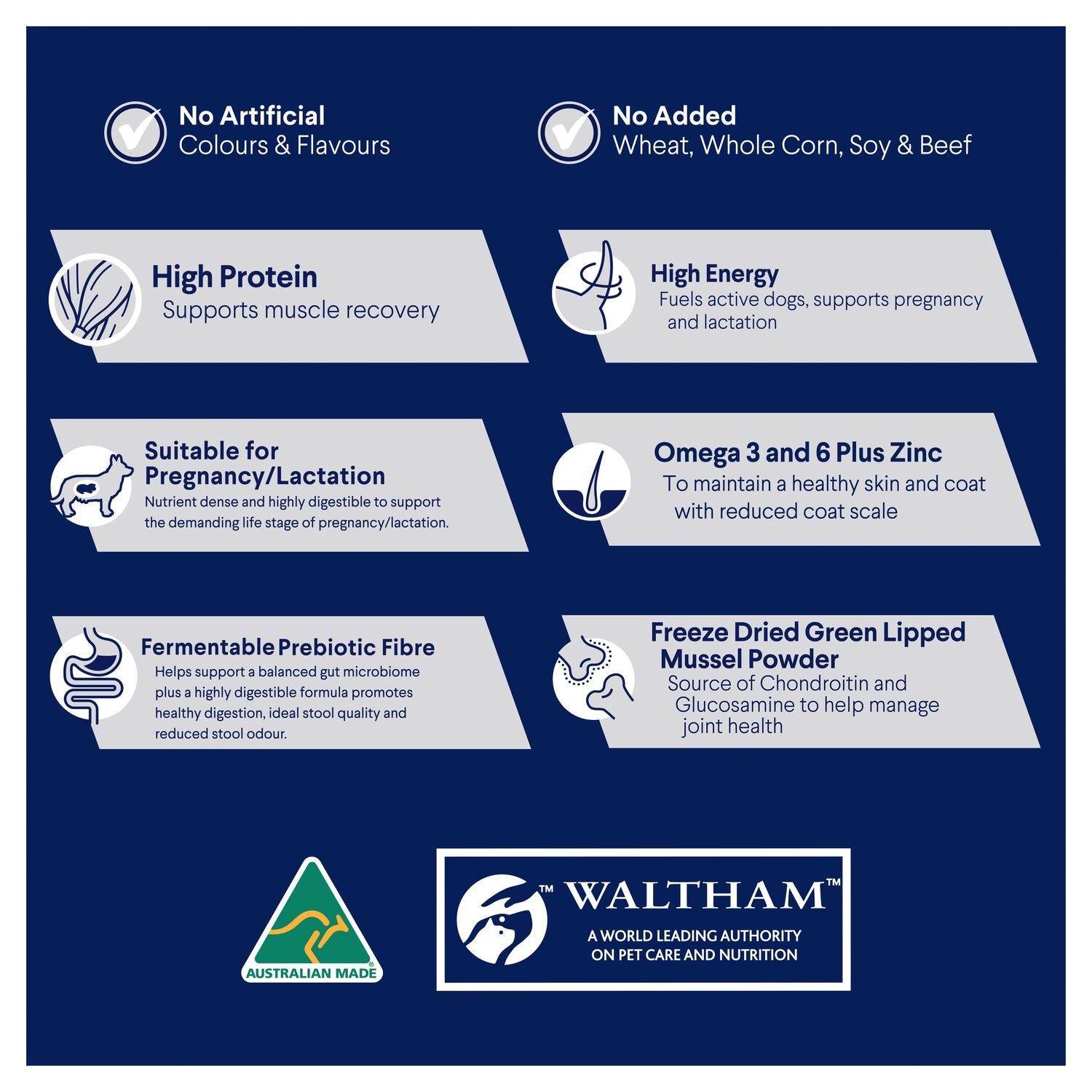 ADVANCE Active Adult Dry Dog Food Chicken with Rice