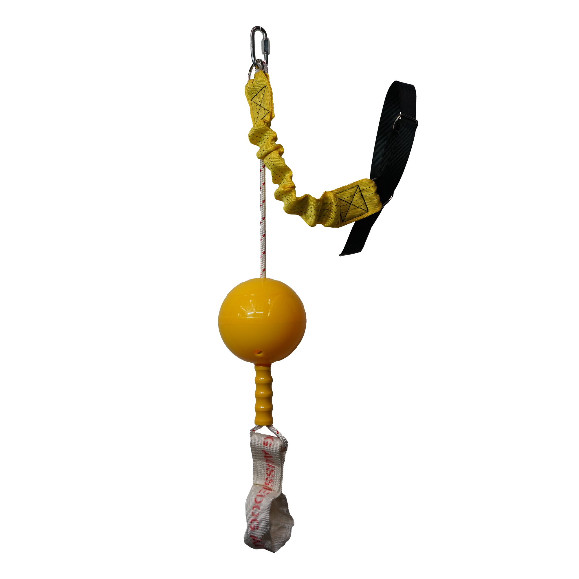 Aussie Dog Home Alone Dog Toy Large