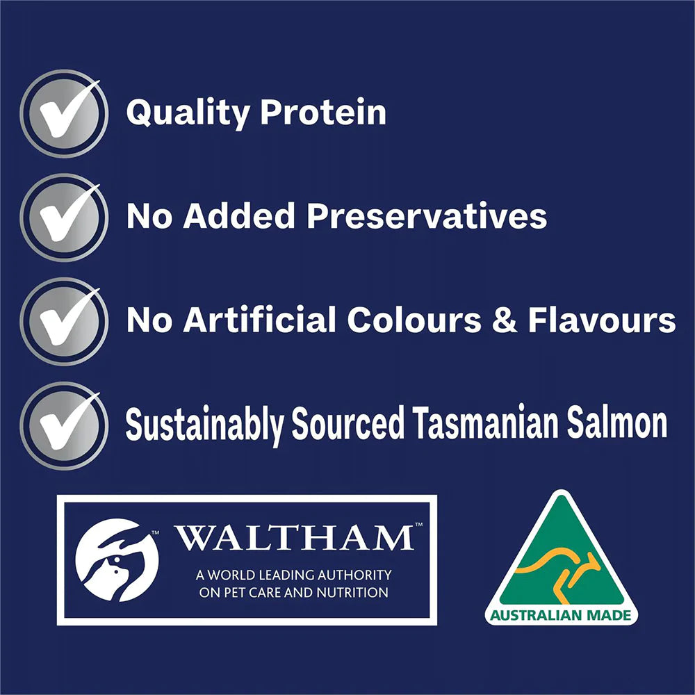 ADVANCE Adult Single Serve Wet Dog Food Trays Casserole with Salmon