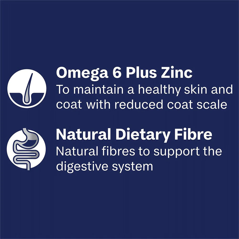 ADVANCE Adult Single Serve Wet Dog Food Trays Casserole with Salmon