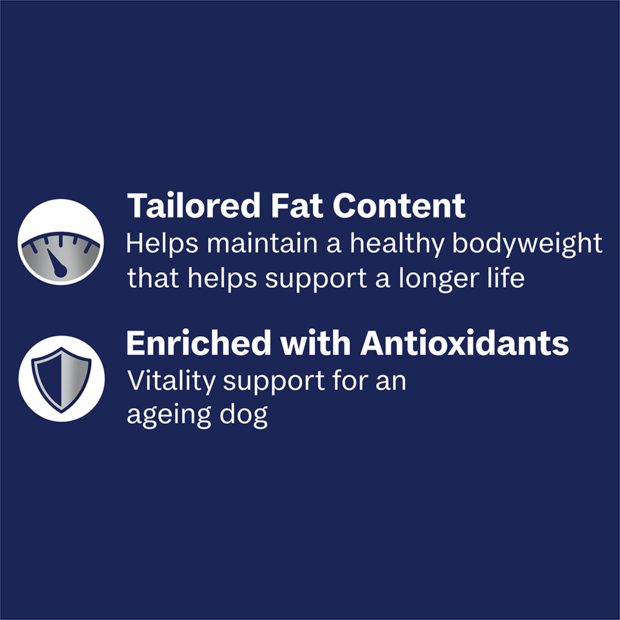 ADVANCE Adult Single Serve Wet Dog Food Trays Healthy Aging with Chicken & Rice