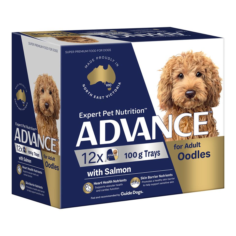 ADVANCE Adult Single Serve Wet Dog Food Trays Oodles with Salmon