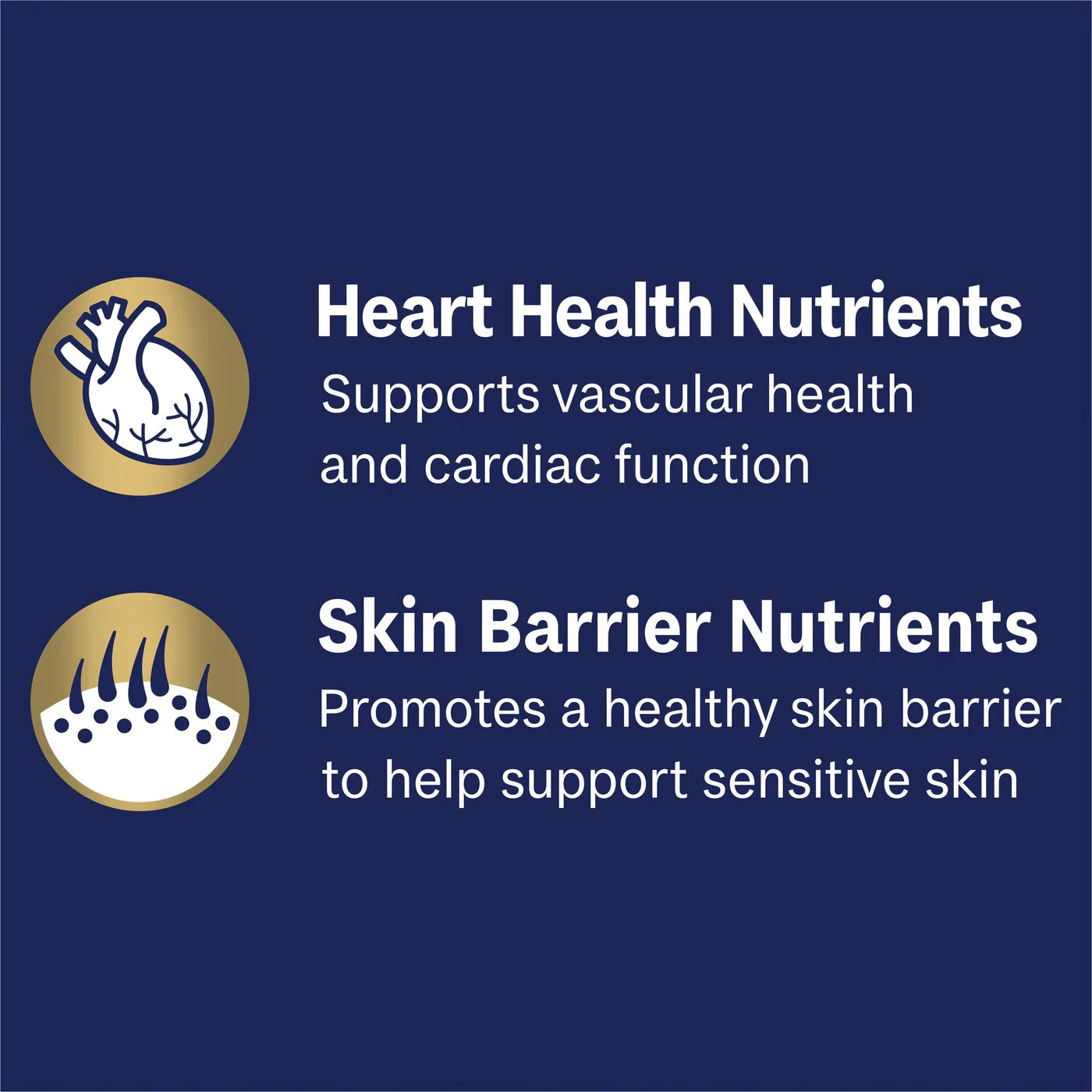 ADVANCE Adult Single Serve Wet Dog Food Trays Oodles with Salmon