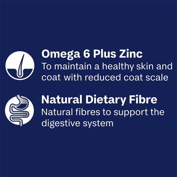 ADVANCE Adult Single Serve Wet Dog Food Trays with Lamb