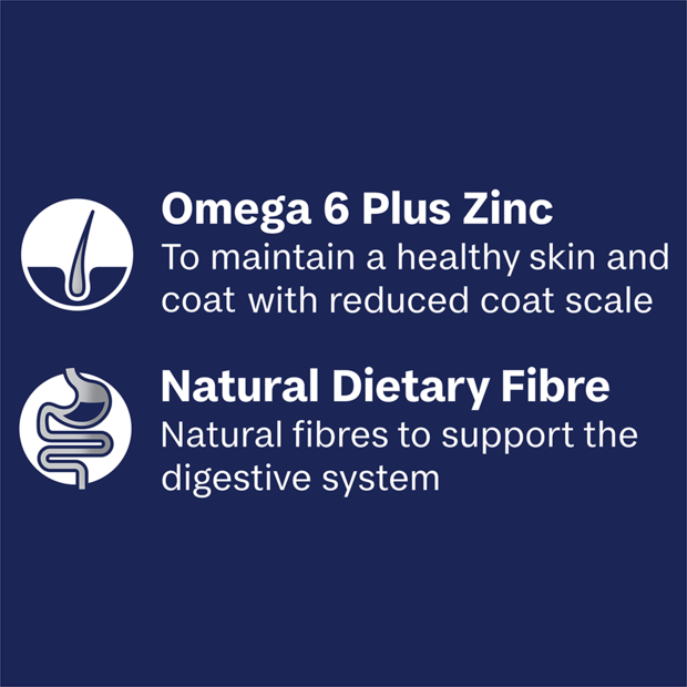 ADVANCE Adult Single Serve Wet Dog Food Trays with Turkey