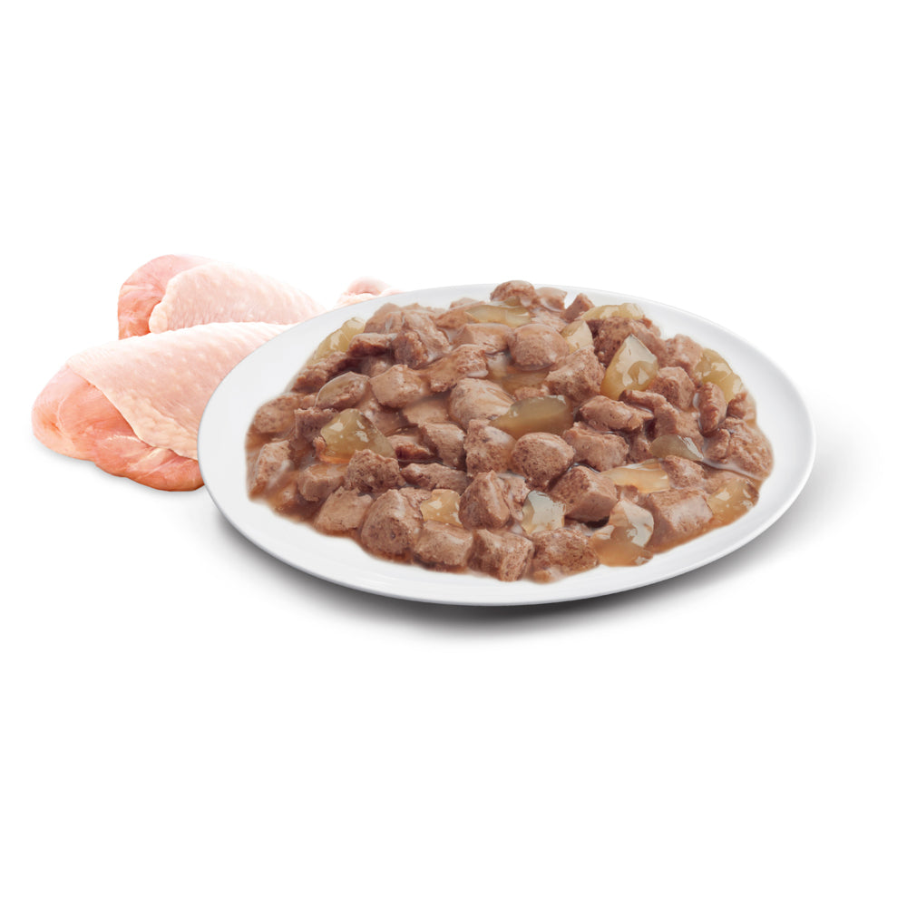 ADVANCE Adult Wet Cat Food Chicken In Jelly 12x85g Pouches 07