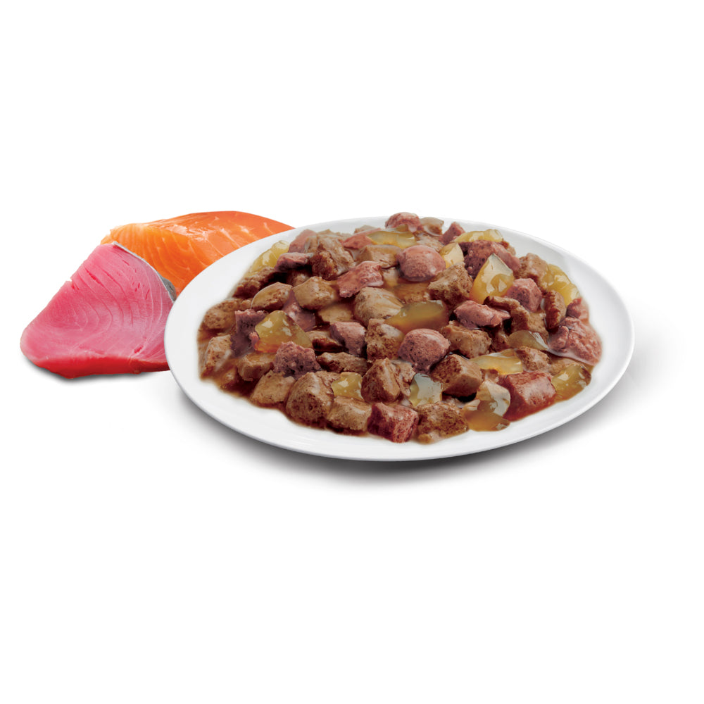 ADVANCE Adult Wet Cat Food Ocean Fish In Jelly 12x85g Pouches 07