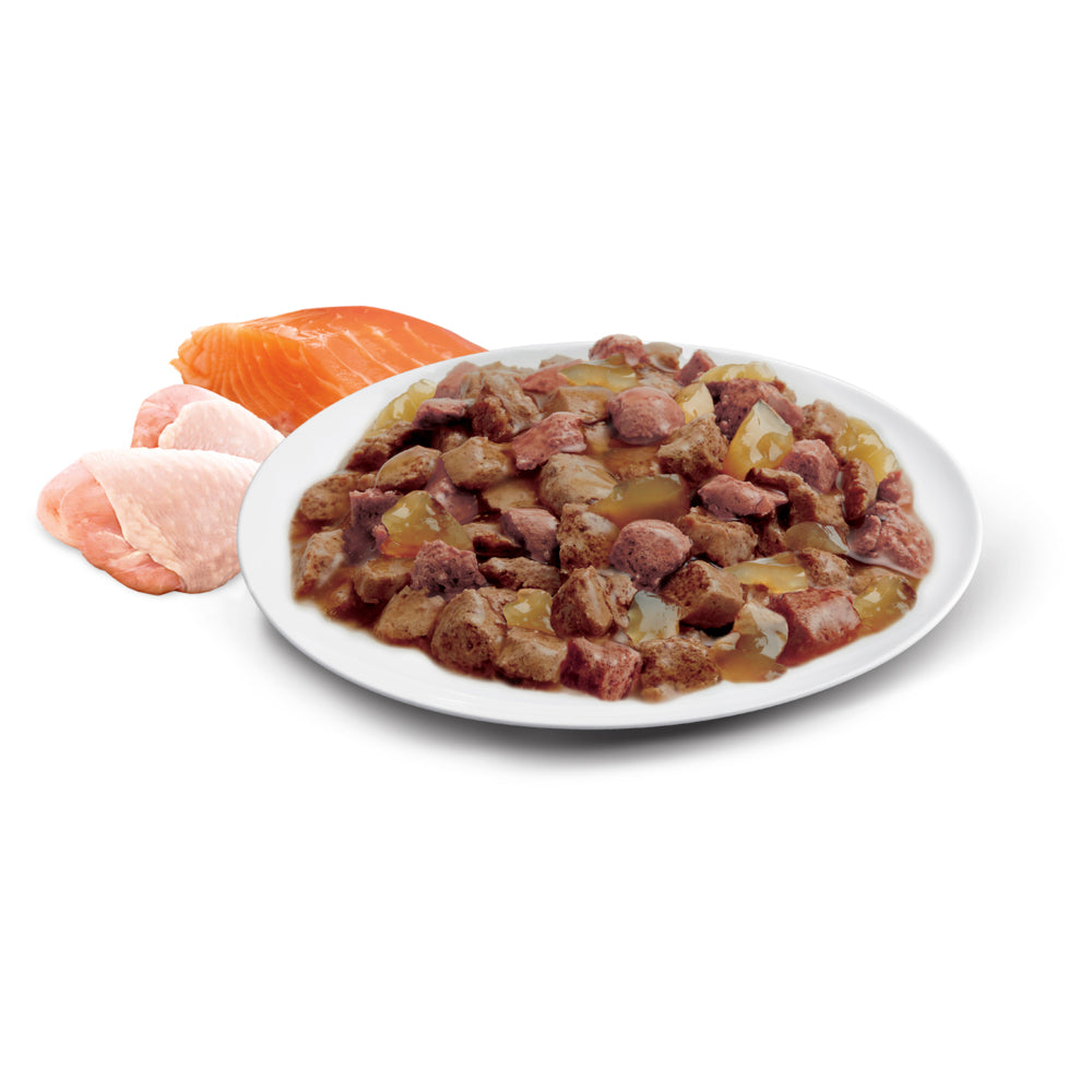 ADVANCE Adult Wet Cat Food Ocean Fish/ Indoor Chicken & Turkey In Jelly 12x85g Pouches 07