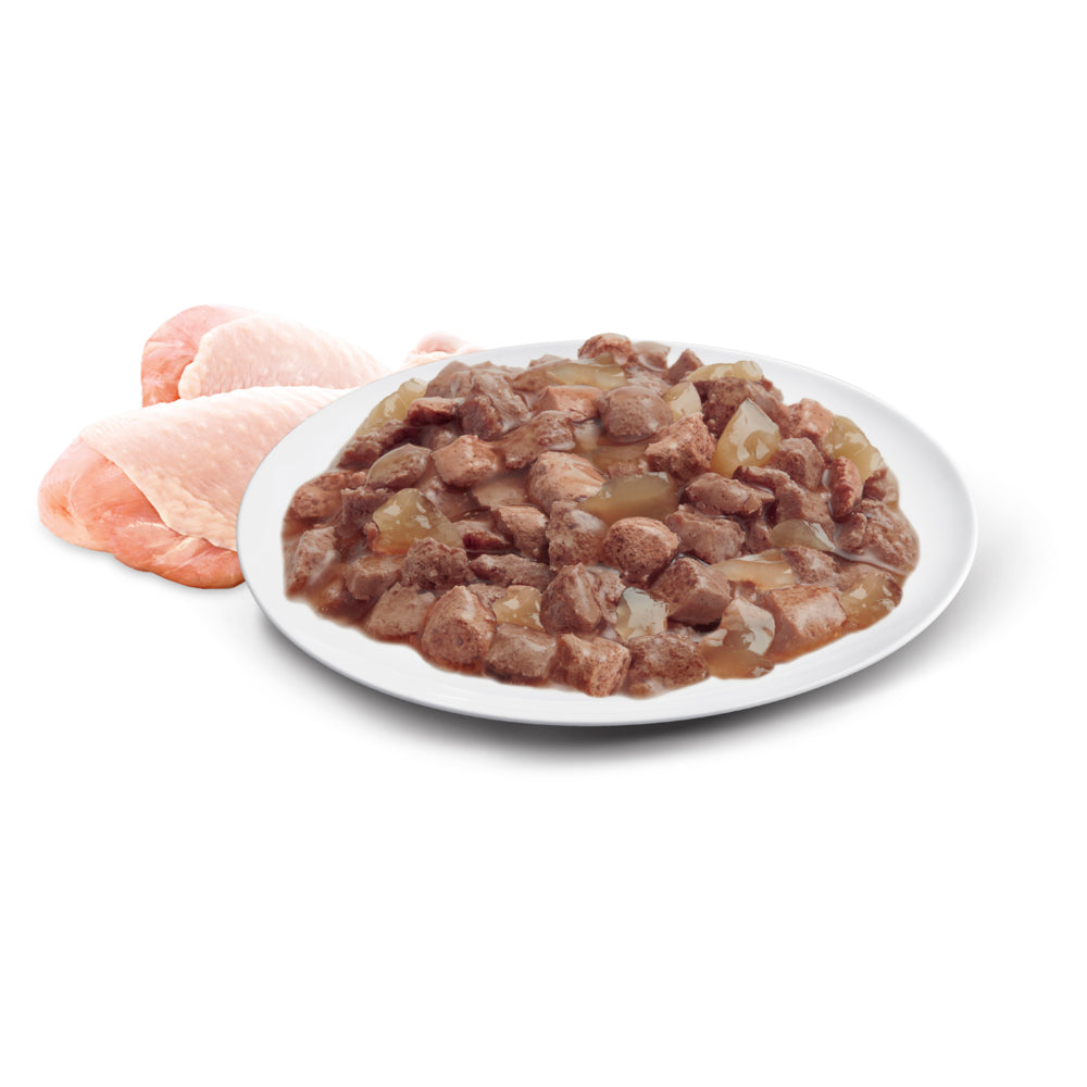 ADVANCE Indoor Adult Wet Cat Food Chicken & Turkey In Jelly 12x85g Pouches 07