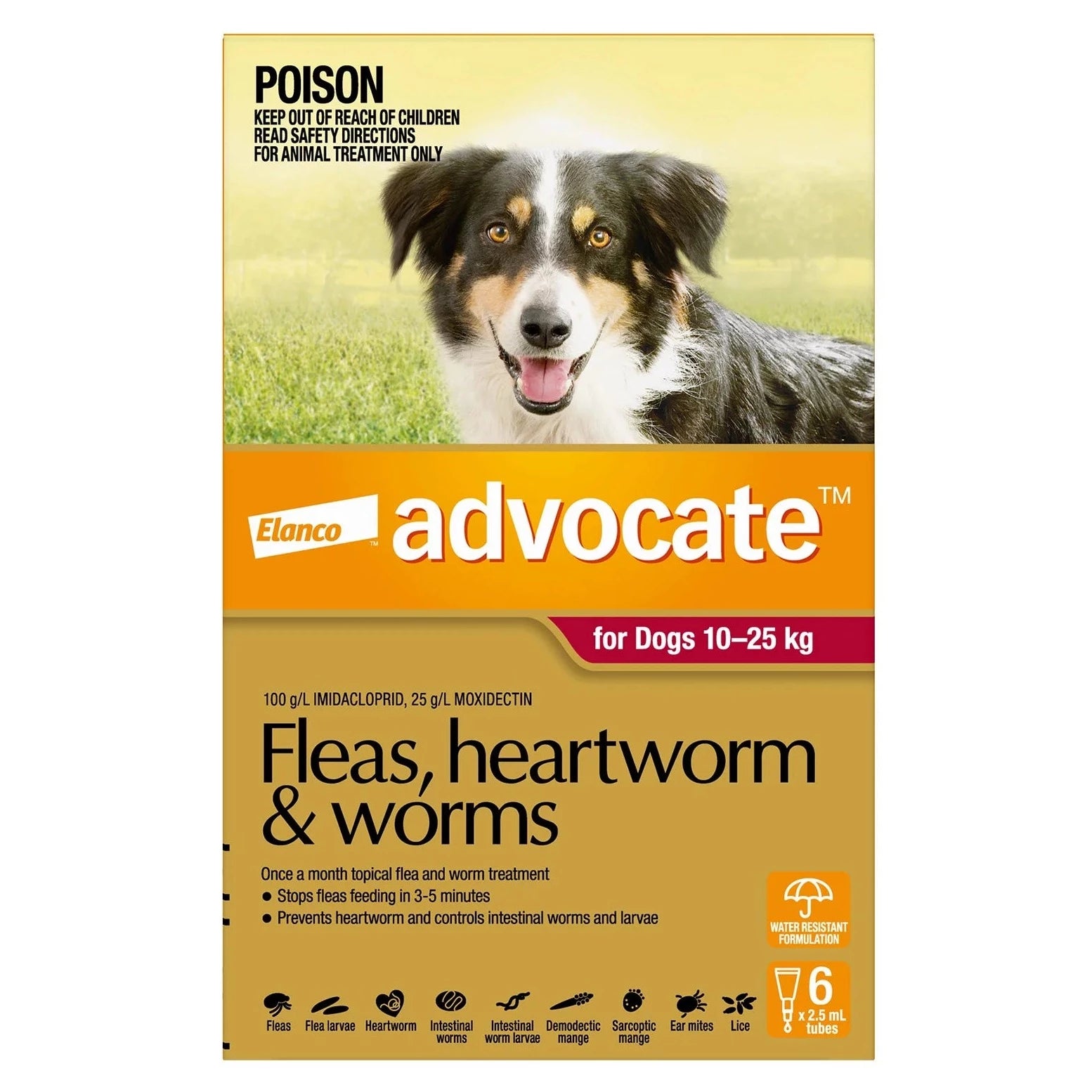 Advocate Dog Large 10-25Kg Red