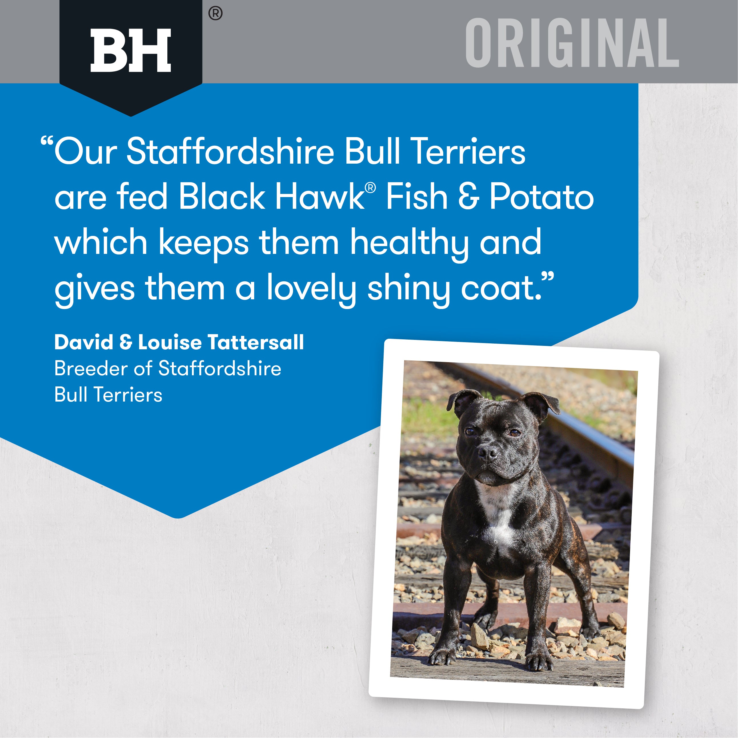 Black Hawk Dry Dog Food Original Adult Fish & Potato 05