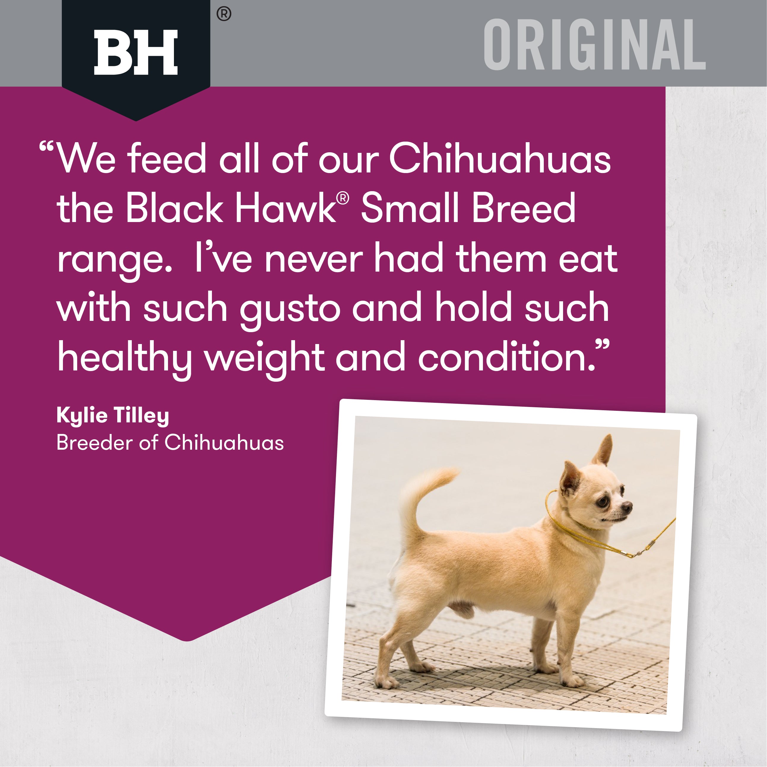 Black Hawk Dry Dog Food Original Adult Small Breed Lamb & Rice 05