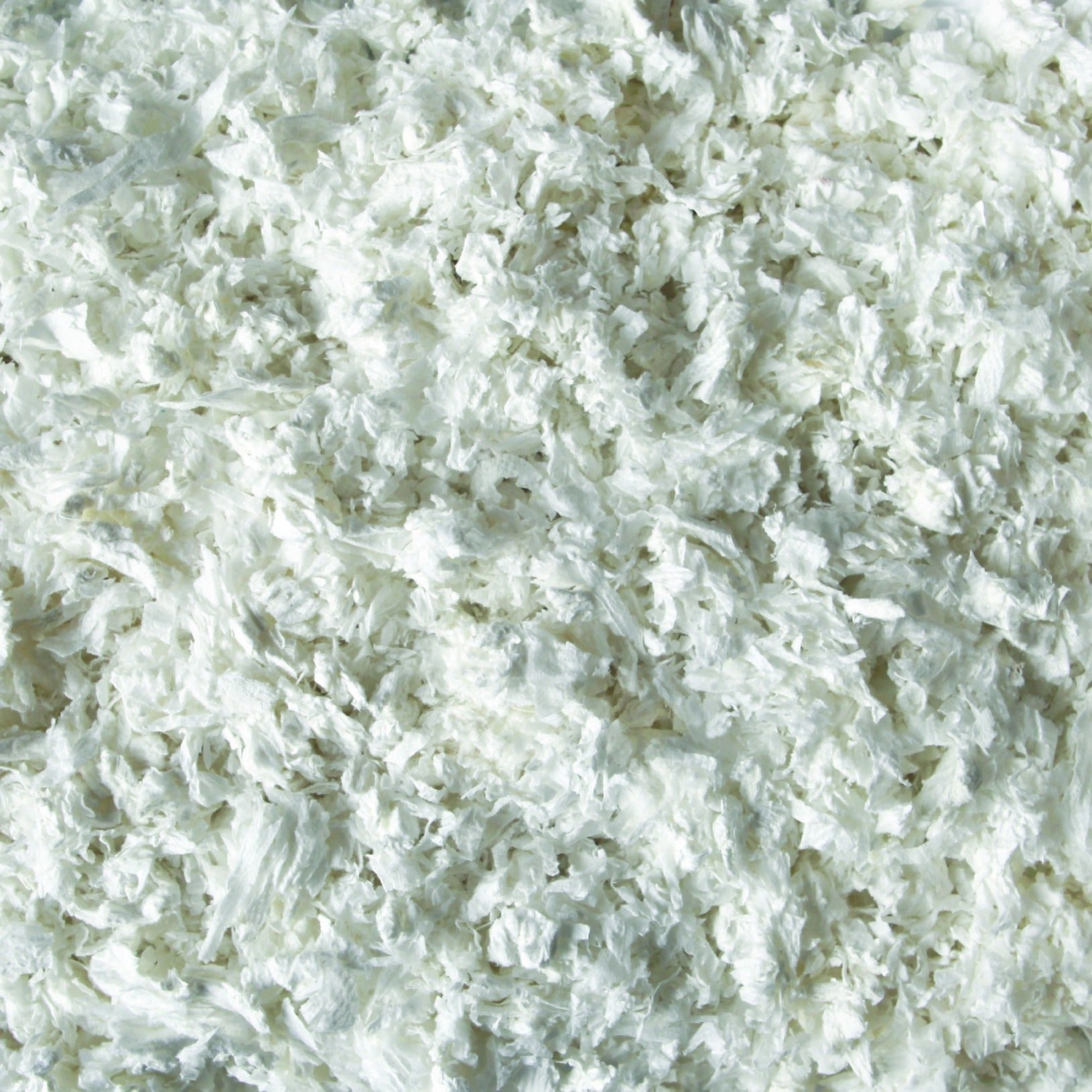 Kaytee Clean & Cozy White Bedding