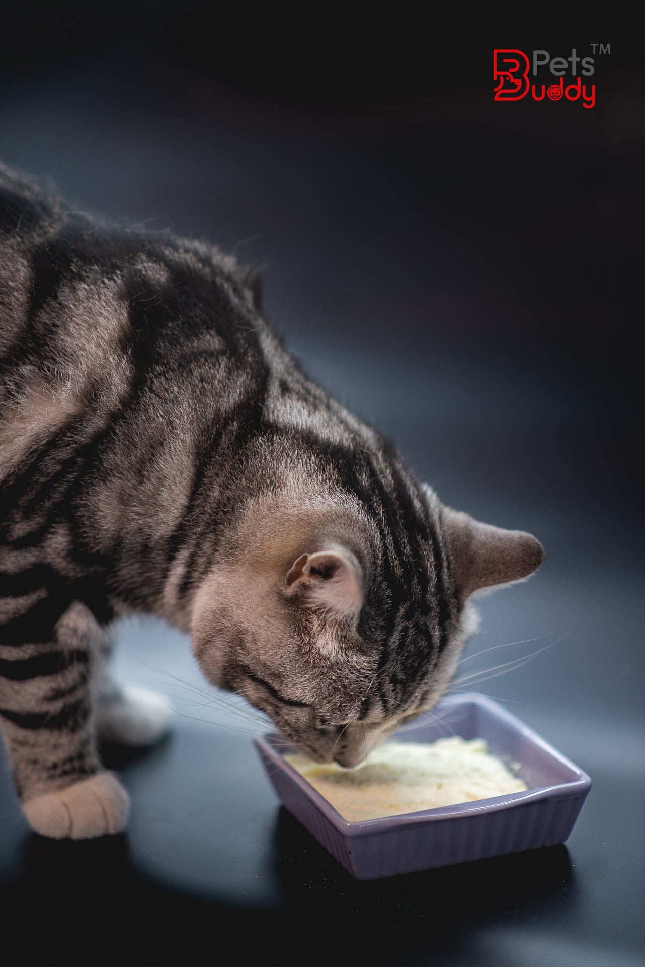 PetsBuddy Goatsmilk Taurine Enriched Formula for Cat