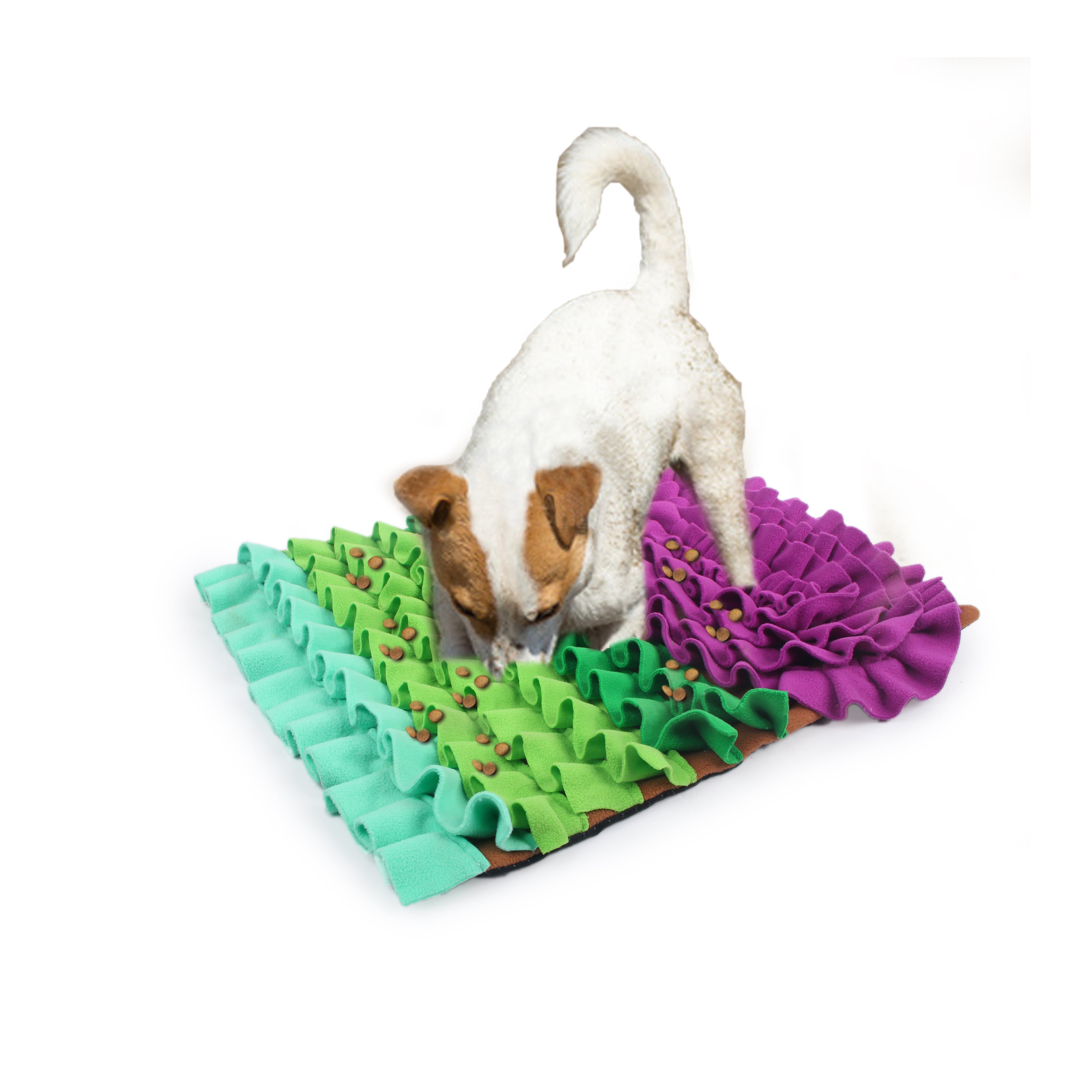 All for Paws AFP Dog Dig It Play & Treat Rectangle Fluffy Mat