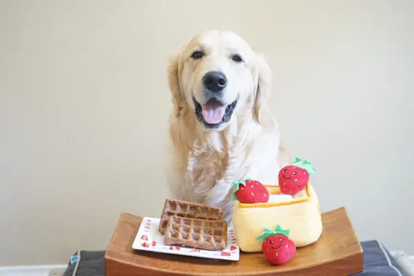 Zippy Paws Dog Toys Plush Burrow - Strawberry Waffles 04