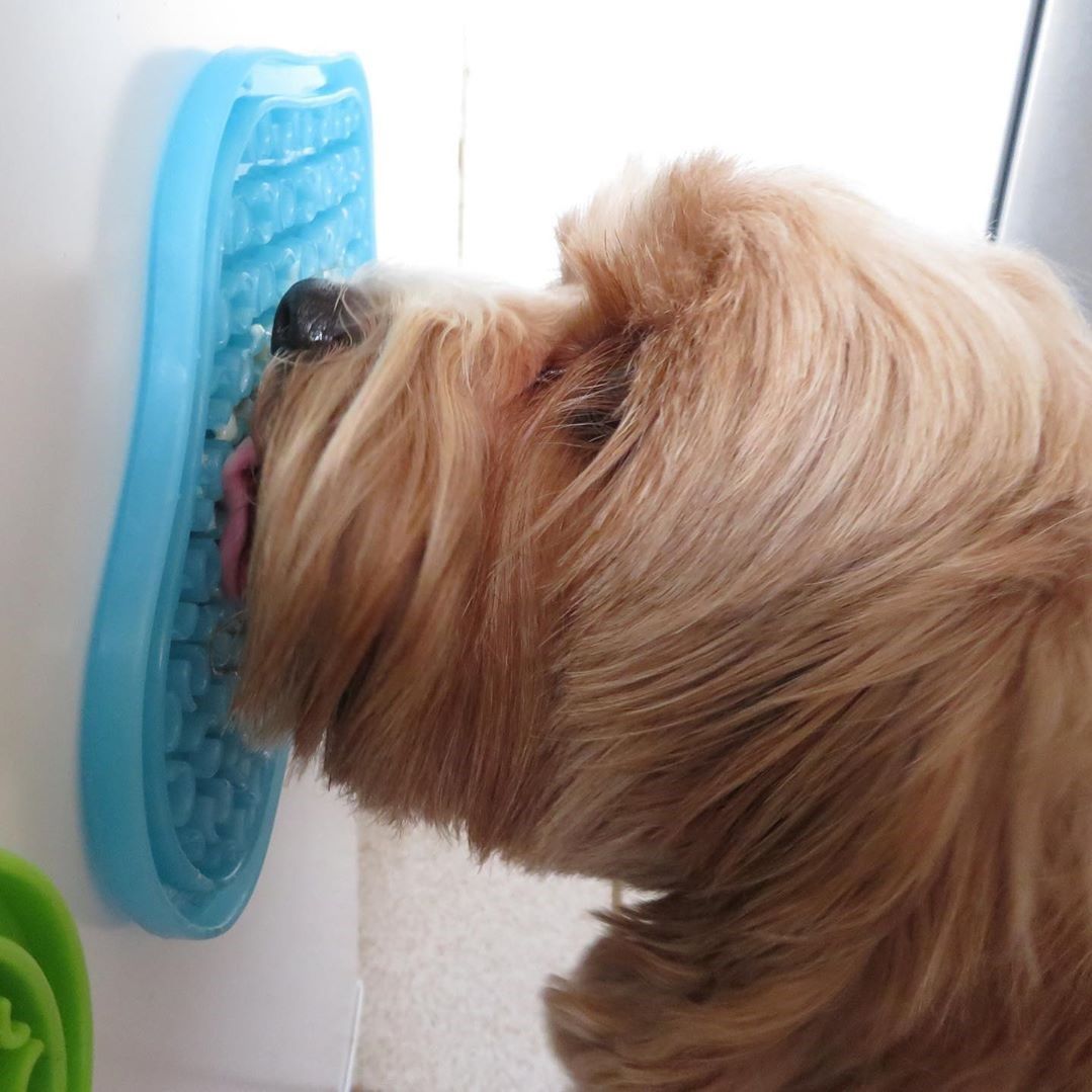 Pet DreamHouse PAW Lick Pad Slow Feeder & Anti-Anxiety Food Mat