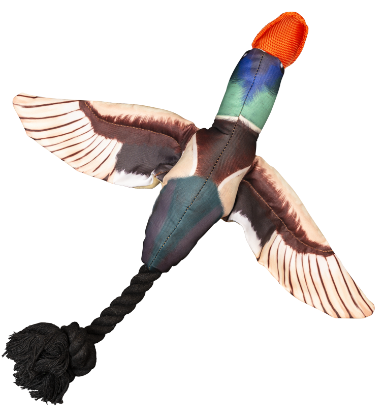 Spunky Pup Dog Toy Fly & Fetch Duck