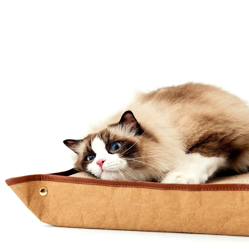 Ibiyaya Plateau Cat Scratching Pad & Replacement Board 05