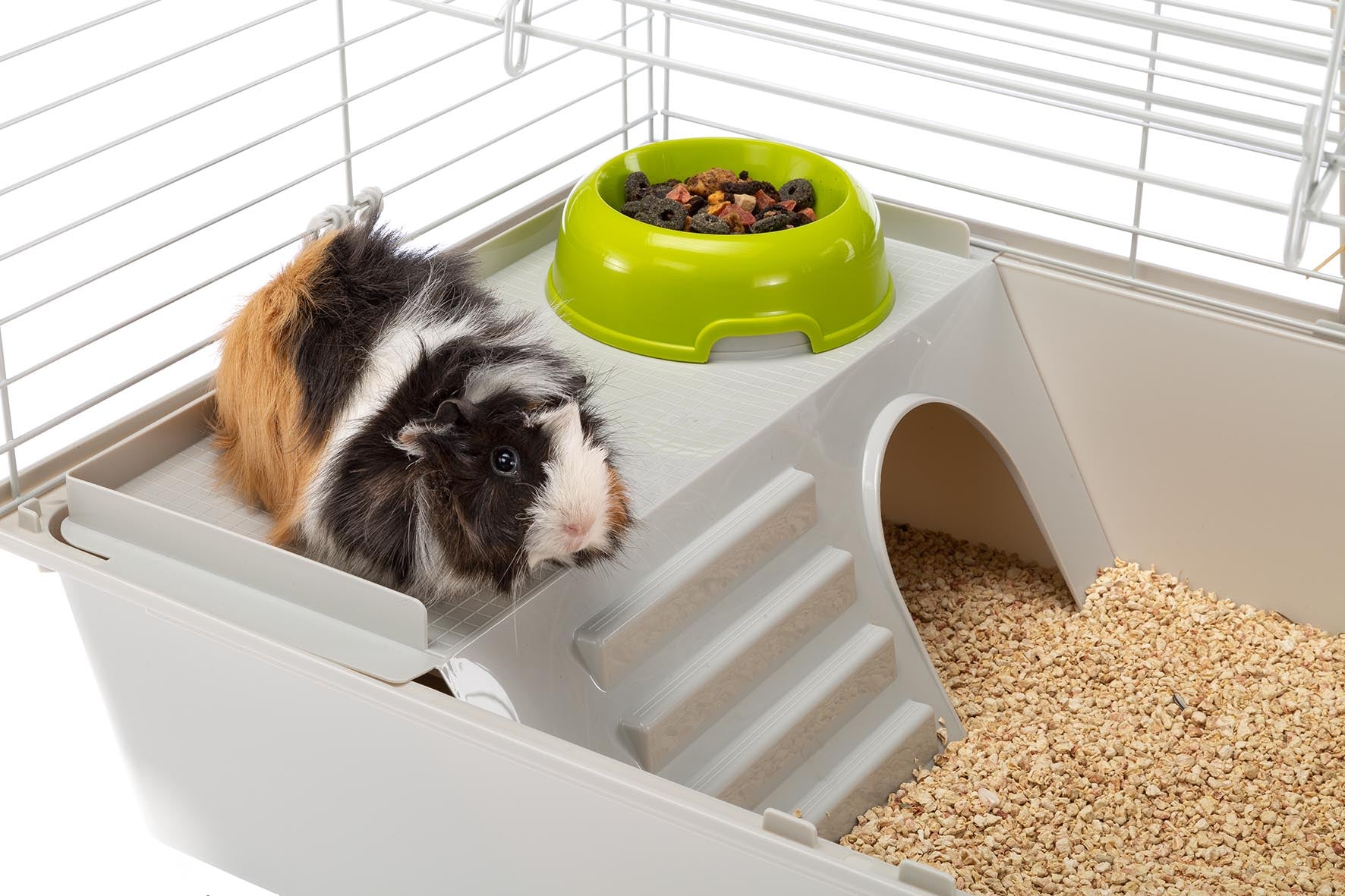 Ferplast Cavie 80 Guinea Pig Cage with Opening Door 06
