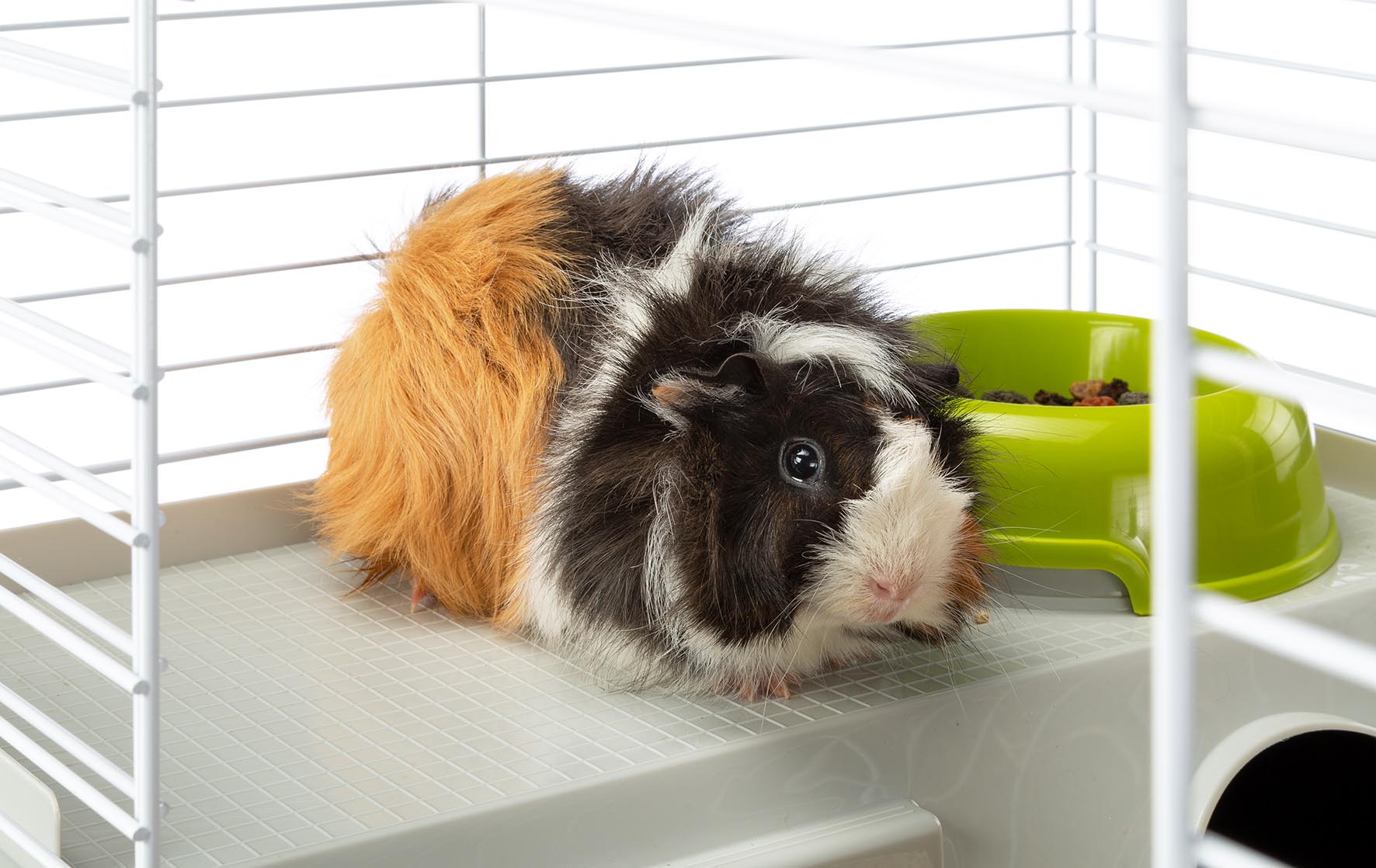 Ferplast Casita 80 Rabbits and Guinea Pigs Cage 10