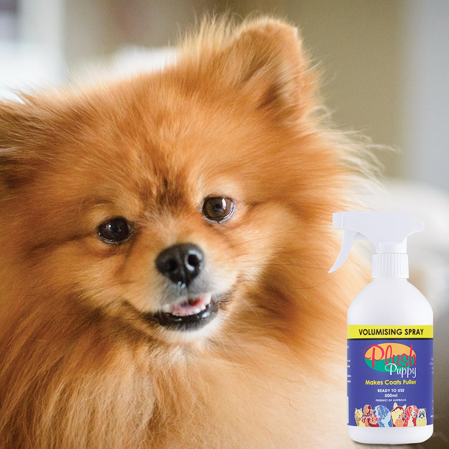 Plush Puppy Volumising Spray Ready to use 01