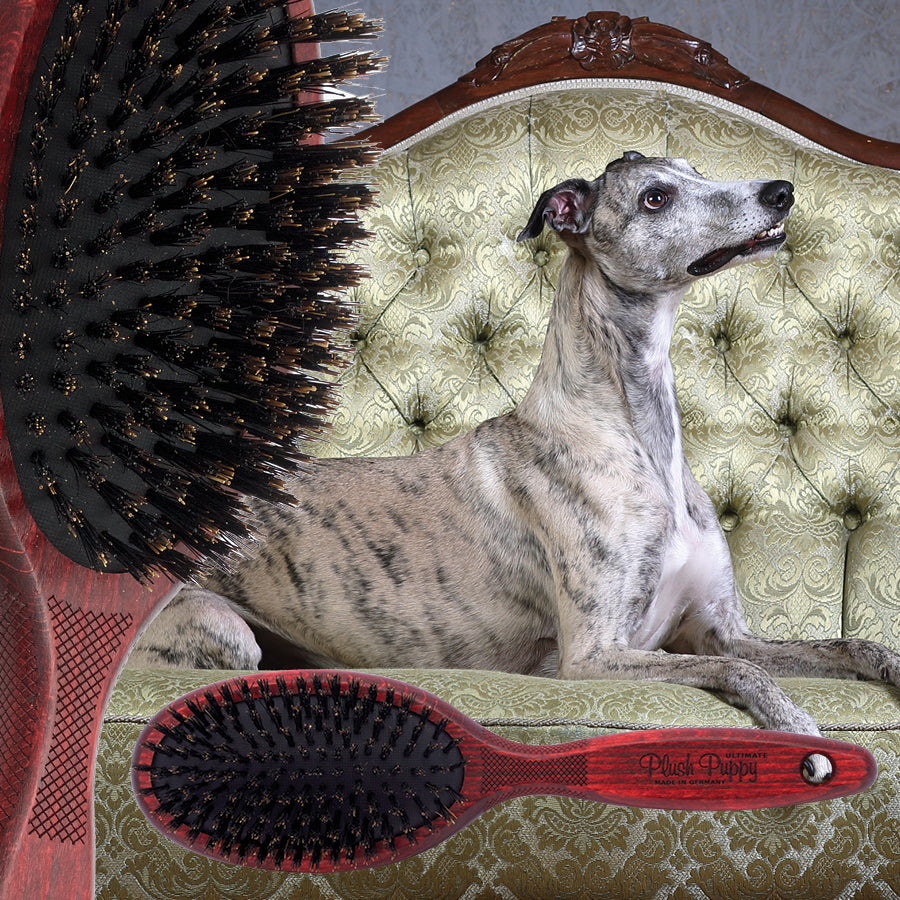 Plush Puppy Ultimate Pure Boar Bristle Brush Ultimate Grooming Brush 06