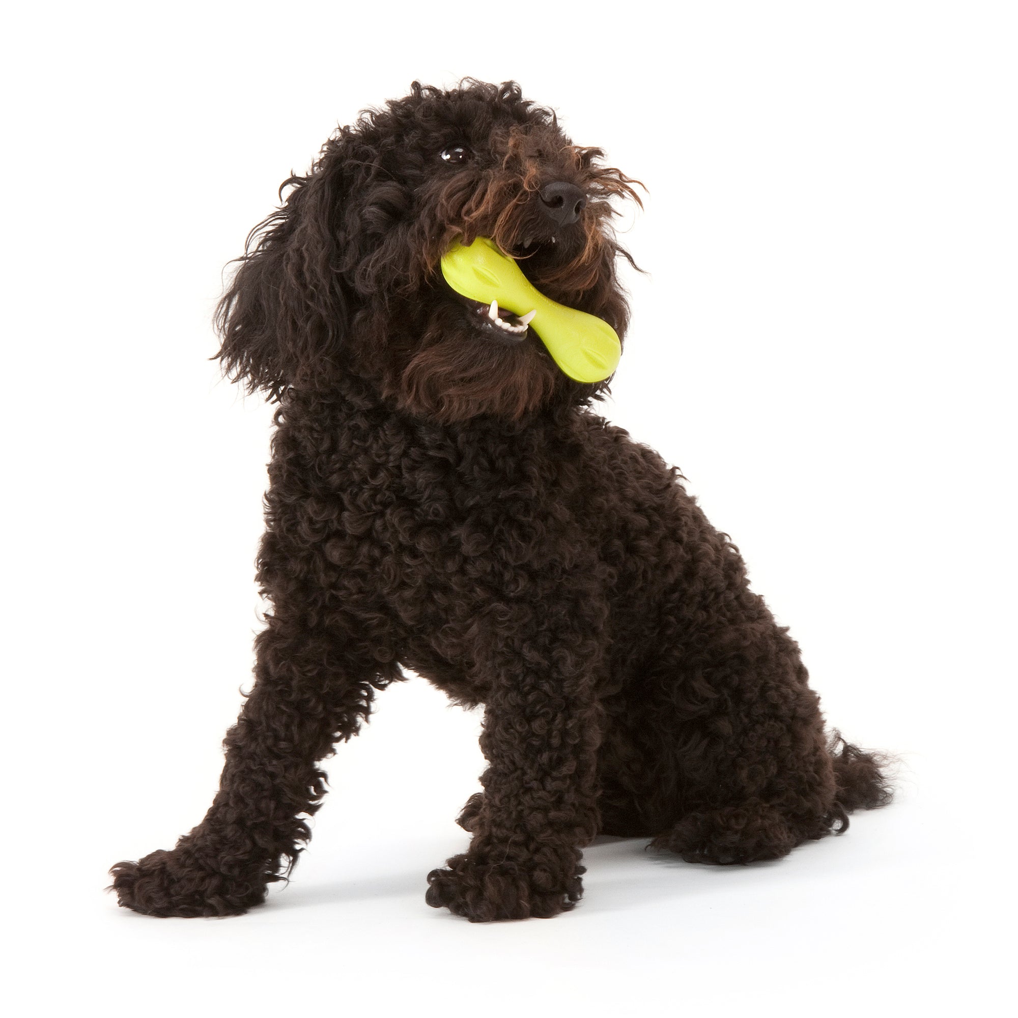 West Paw Hurley Fetch Toy for Tough Dogs - Large by PeekAPaw