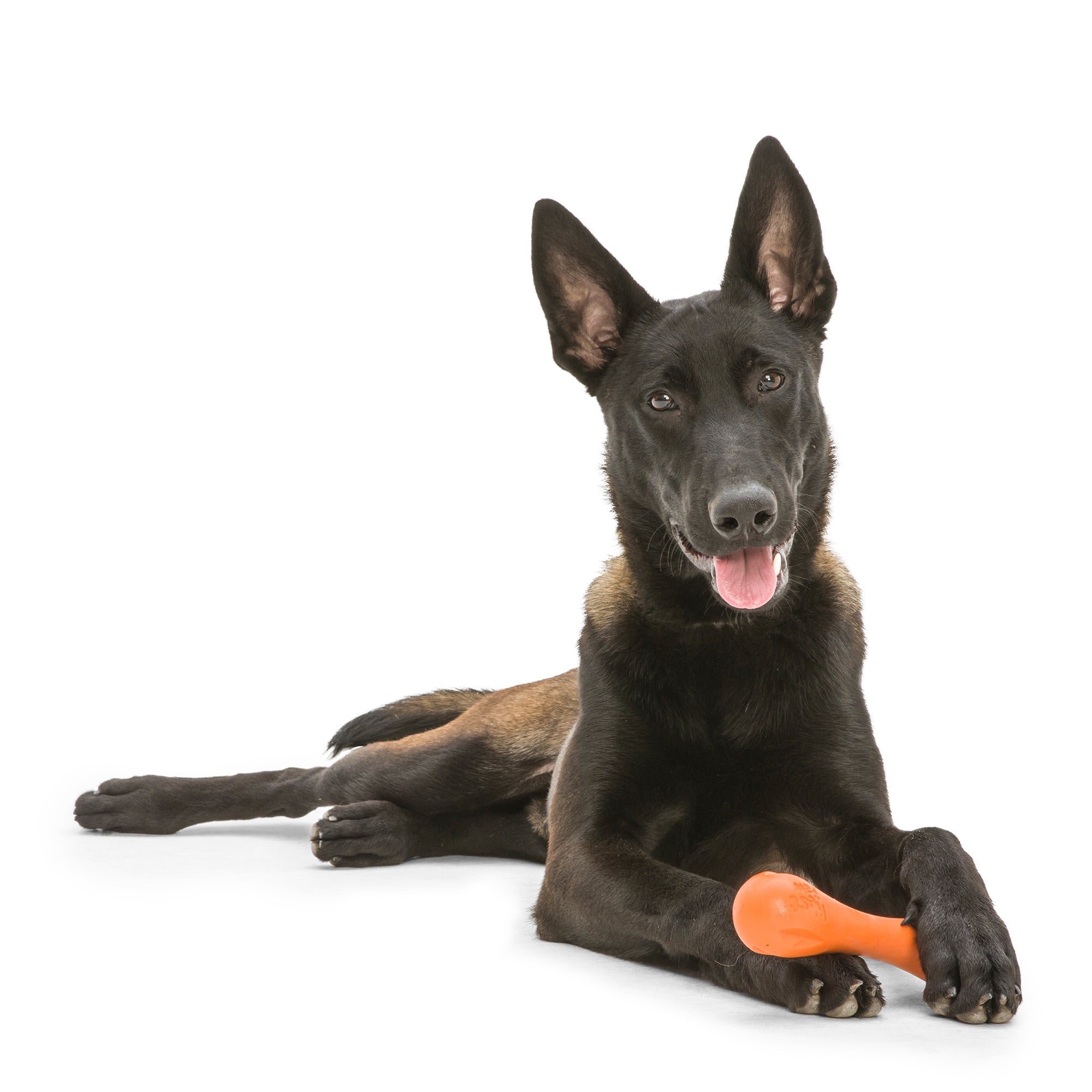West Paw Hurley Fetch Toy for Tough Dogs - Large by PeekAPaw