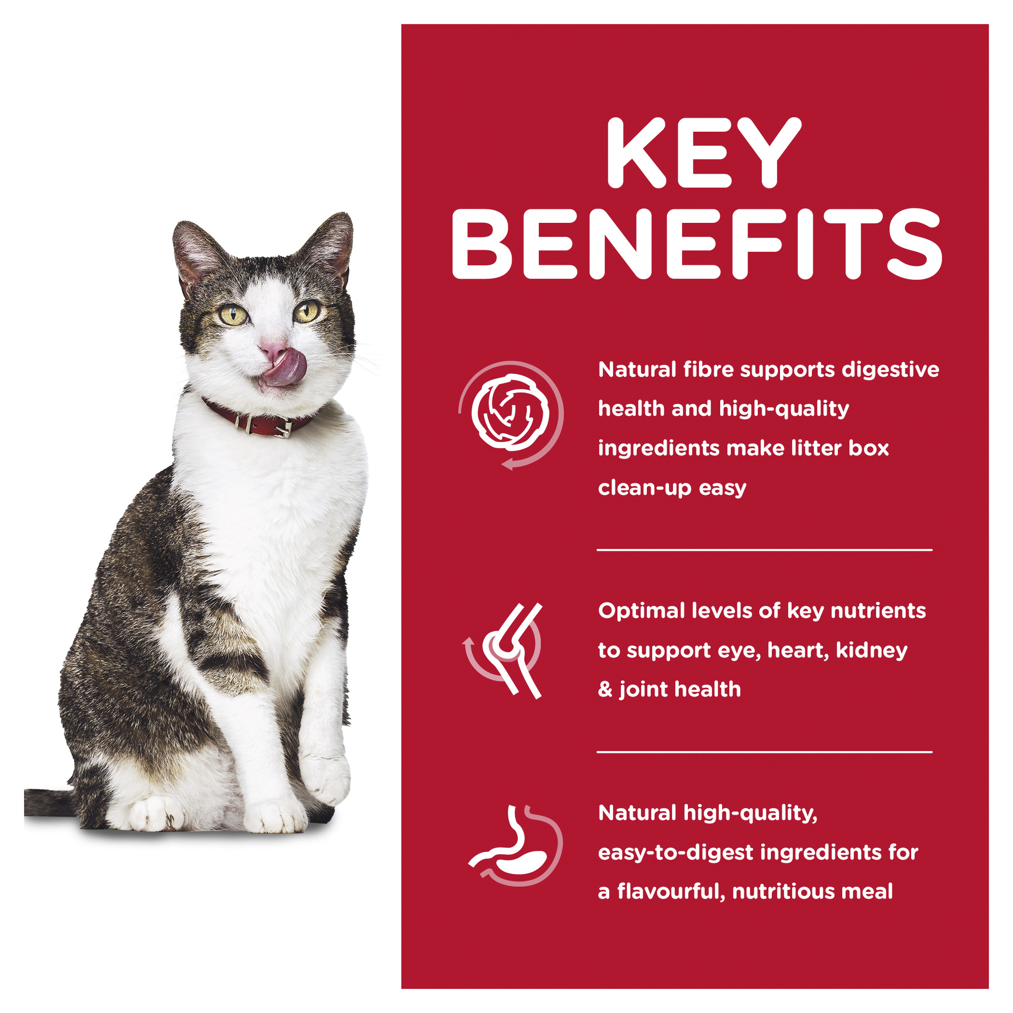 Hill's Science Diet Dry Cat Food Adult 11+ Senior Indoor