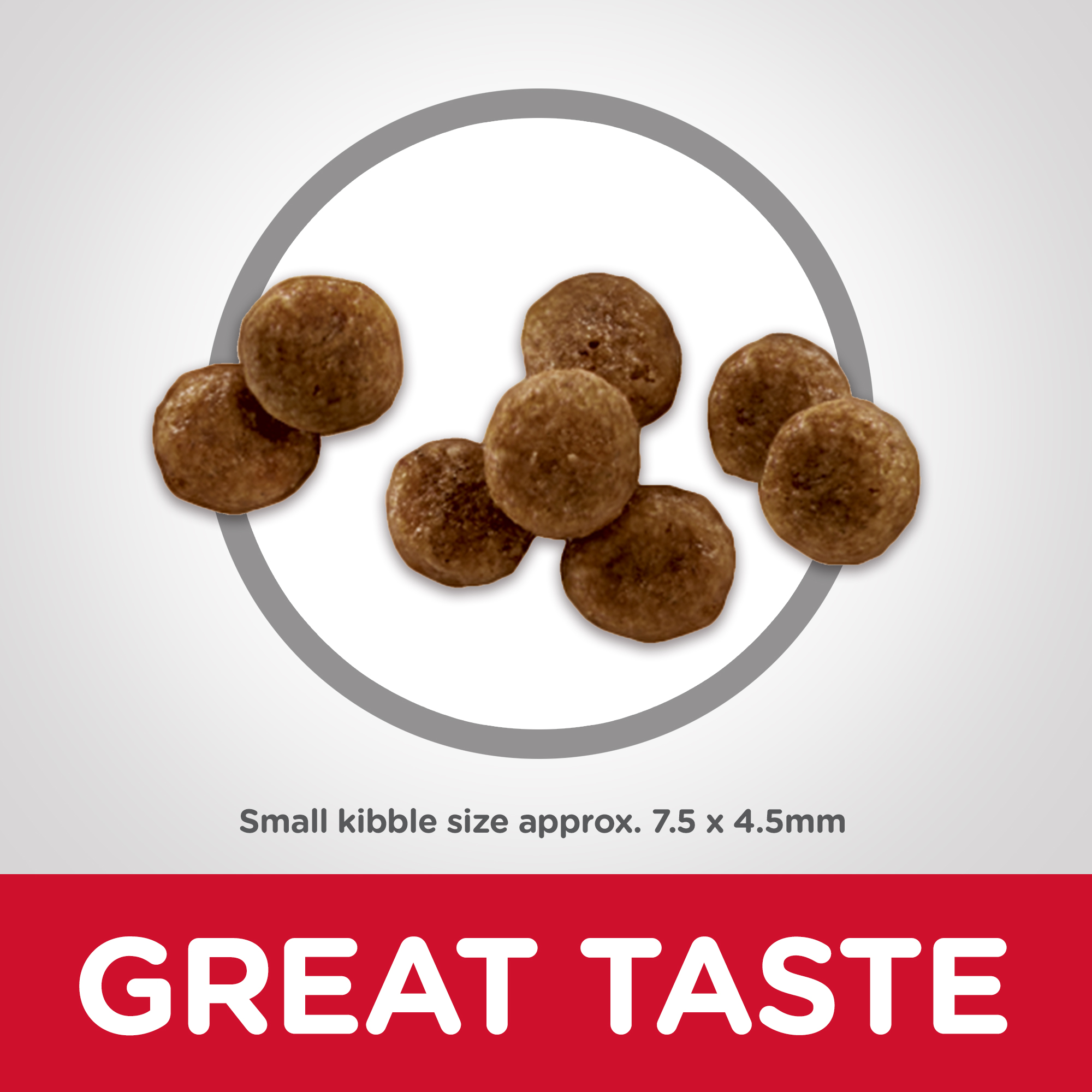 Hill's Science Diet Dry Dog Food Adult 11+ Senior Small Paws Senior