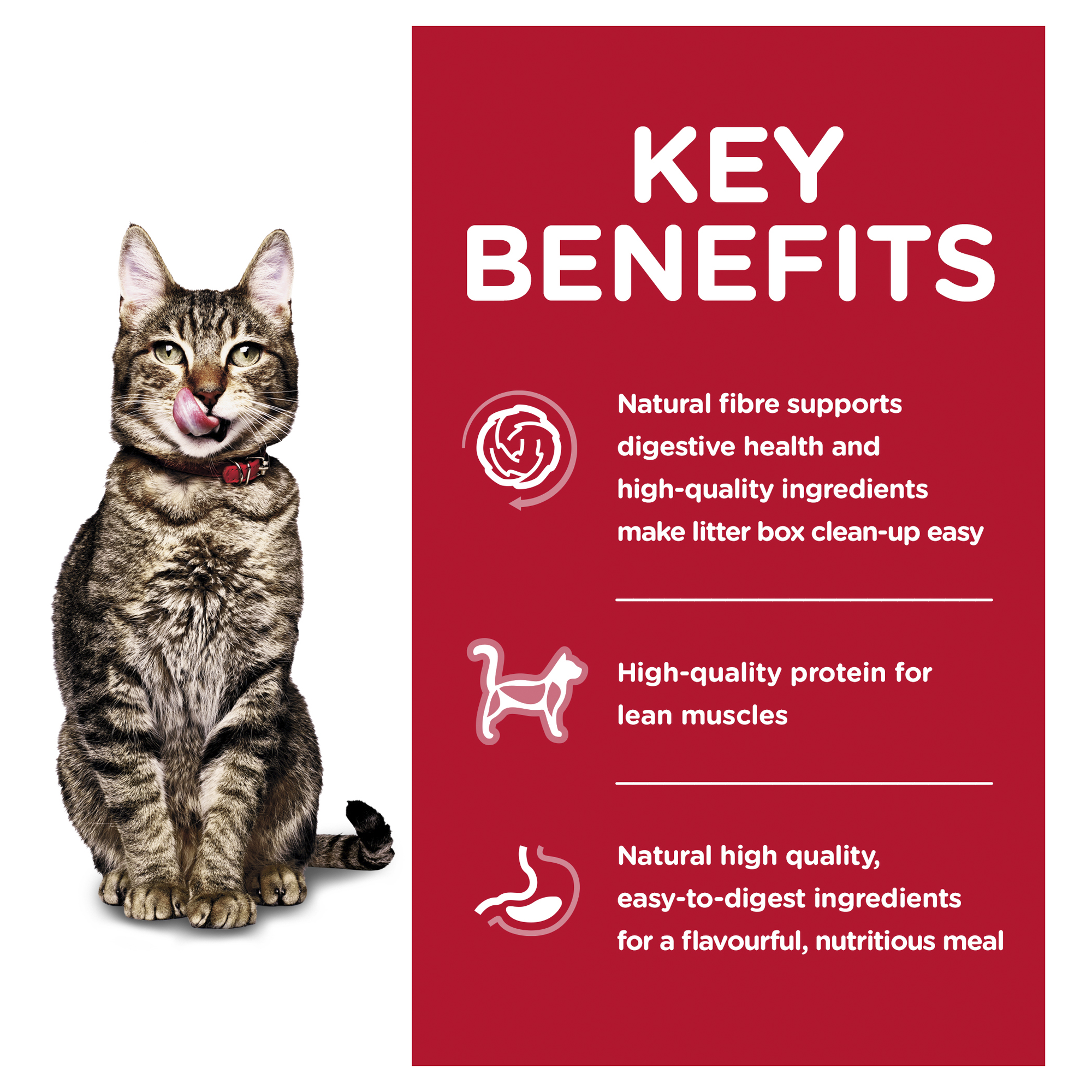 Hill's Science Diet Dry Cat Food Adult 7+ Senior Indoor